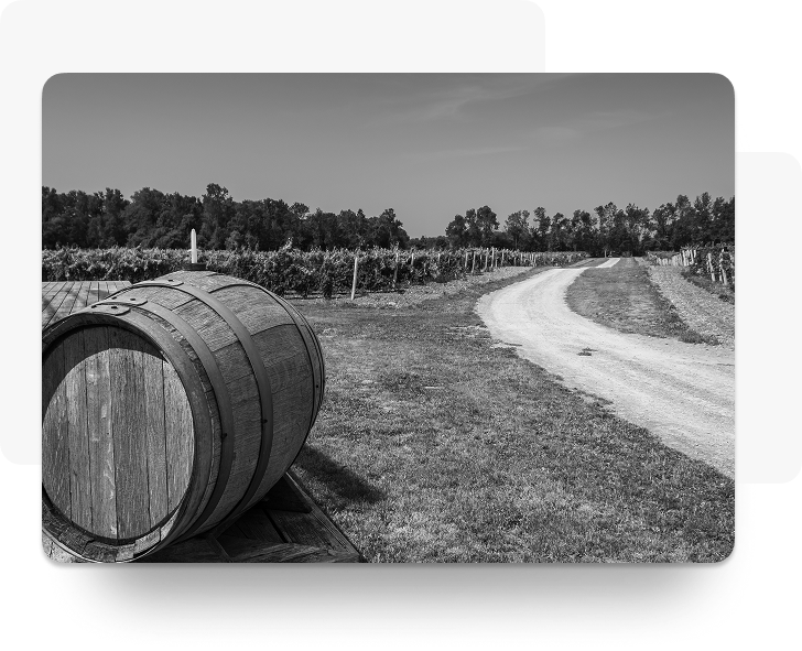 tnc_pdp_the_wellington_collage